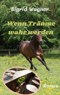 eBook: Wenn Träume wahr werden