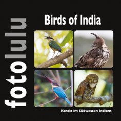 eBook: Birds of India