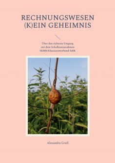 ebook: Rechnungswesen (k)ein Geheimnis