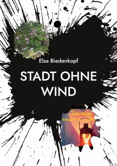 ebook: Stadt ohne Wind