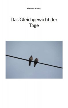 ebook: Das Gleichgewicht der Tage