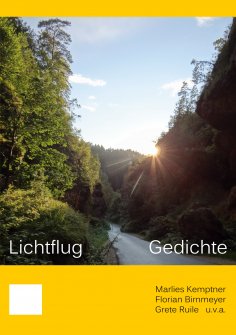 eBook: Lichtflug