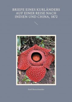 eBook: Briefe eines Kurländers auf einer Reise nach Indien und China, 1872