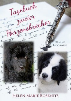 eBook: Tagebuch zweier Herzensbrecher