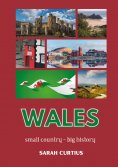 ebook: Wales