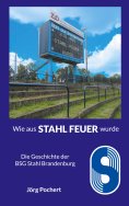 ebook: Wie aus STAHL FEUER wurde