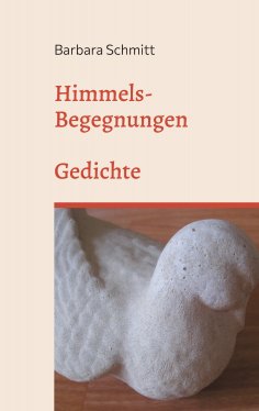 eBook: Himmels-Begegnungen
