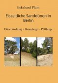 eBook: Eiszeitliche Sanddünen in Berlin