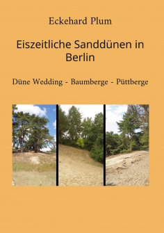 eBook: Eiszeitliche Sanddünen in Berlin