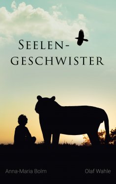 ebook: Seelengeschwister