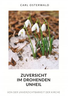ebook: Zuversicht im drohenden Unheil