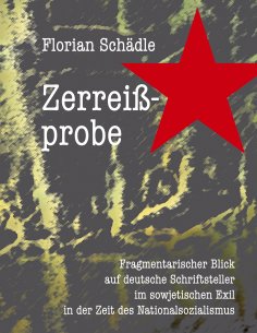 eBook: Zerreißprobe