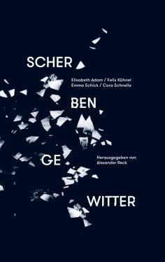 ebook: Scherbengewitter