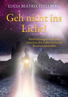 ebook: Geh nicht ins Licht!