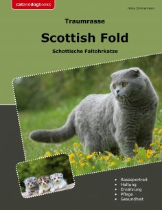 eBook: Traumrasse Scottish Fold