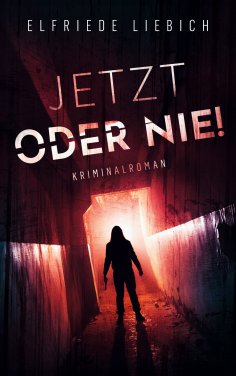 eBook: Jetzt oder nie!