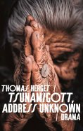 eBook: Tsunamigott, address unknown