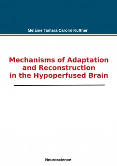 eBook: Mechanisms of Adaptation and Reconstruction in the Hypoperfused Brain