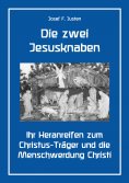 ebook: Die zwei Jesusknaben