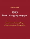 eBook: 1945 - Dem Untergang entgegen
