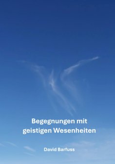 eBook: Begegnungen mit Geistwesen