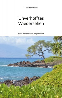 eBook: Unverhofftes Wiedersehen