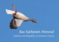 eBook: Aus heiterem Himmel
