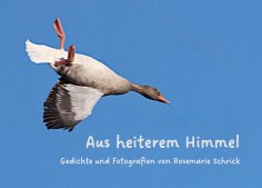 eBook: Aus heiterem Himmel
