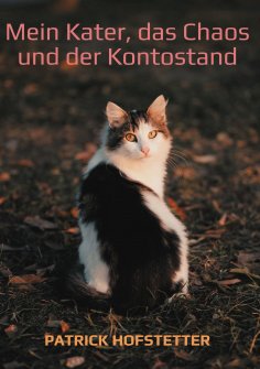 ebook: Mein Kater, das Chaos und der Kontostand