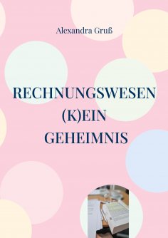 ebook: Rechnungswesen (k)ein Geheimnis