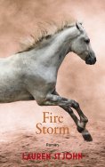 ebook: Fire Storm