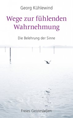 eBook: Wege zur fühlenden Wahrnehmung