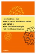 eBook: Wie das Salz ins Meerwasser kommt und warum es keine Eisblumen mehr gibt