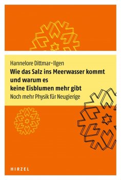 eBook: Wie das Salz ins Meerwasser kommt und warum es keine Eisblumen mehr gibt