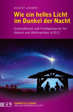 eBook: Wie ein helles Licht im Dunkel der Nacht