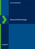 eBook: Wasserstofftechnologie