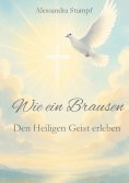 ebook: Wie ein Brausen