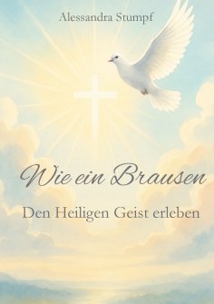 ebook: Wie ein Brausen