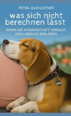eBook: Was sich nicht berechnen lässt