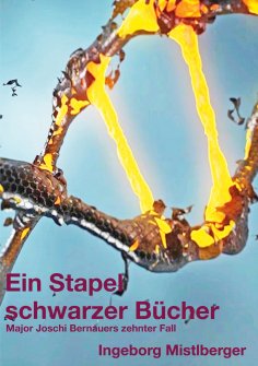 ebook: Ein Stapel schwarzer Bücher