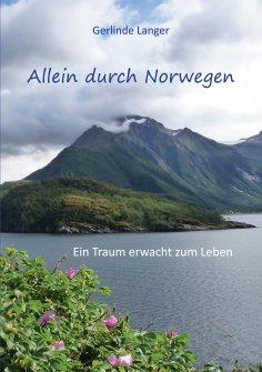eBook: Allein durch Norwegen