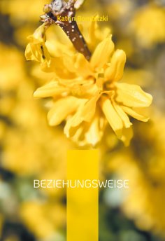 ebook: Beziehungsweise