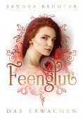 ebook: Feenglut