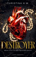 eBook: Destroyer