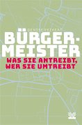 ebook: Bürgermeister - was sie antreibt, wer sie umtreibt