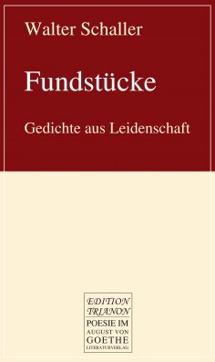 ebook: Fundstücke