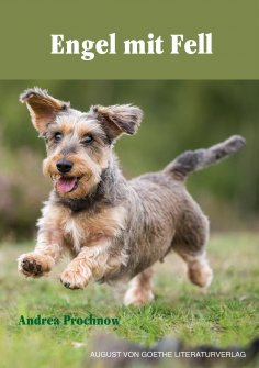 eBook: Engel mit Fell