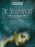 eBook: Die Sturmnacht
