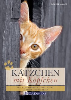 eBook: Kätzchen mit Köpfchen