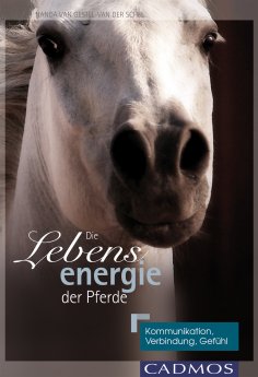 eBook: Die Lebensenergie der Pferde